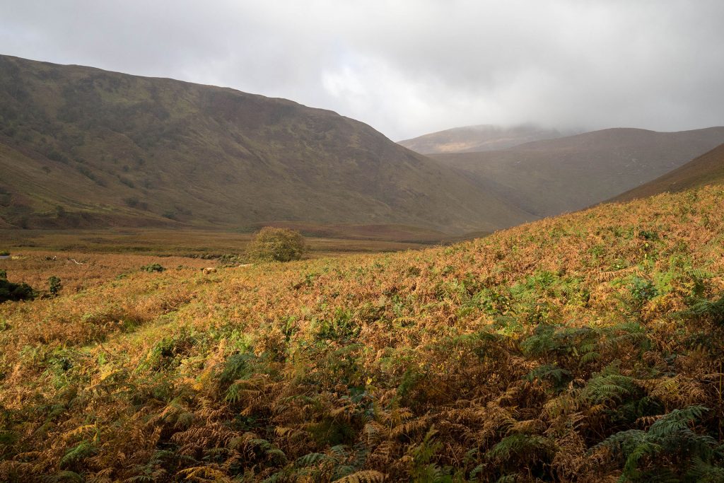 Vom Meer ins Moor – Isle of Arran