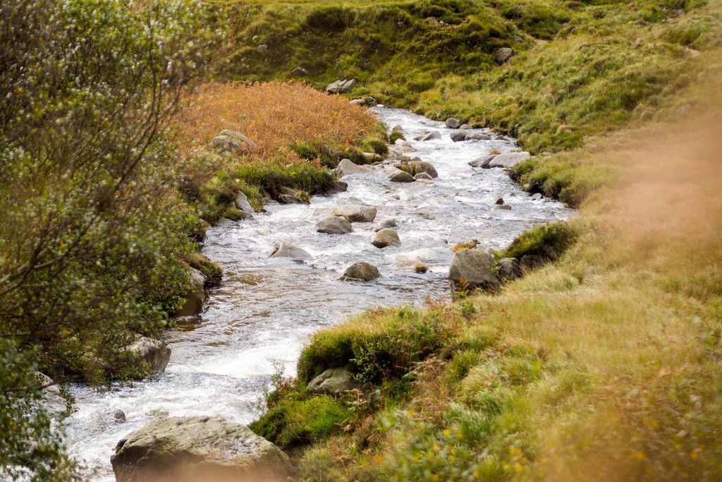 Vom Meer ins Moor – Isle of Arran