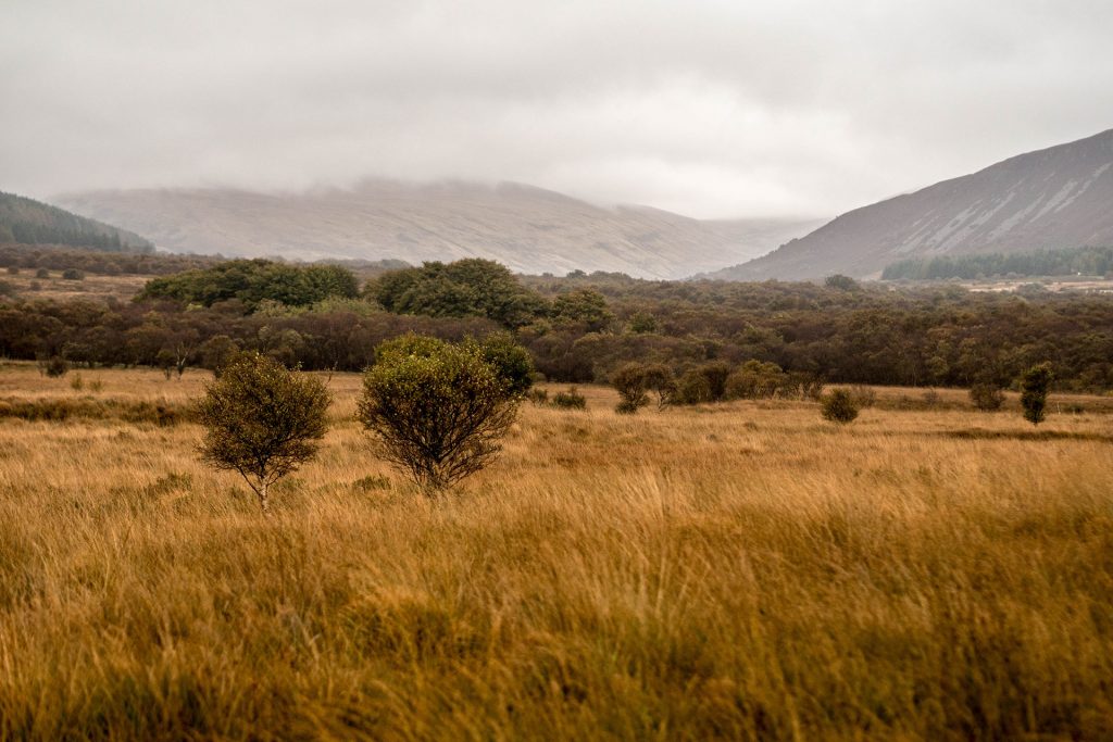 Vom Meer ins Moor – Isle of Arran