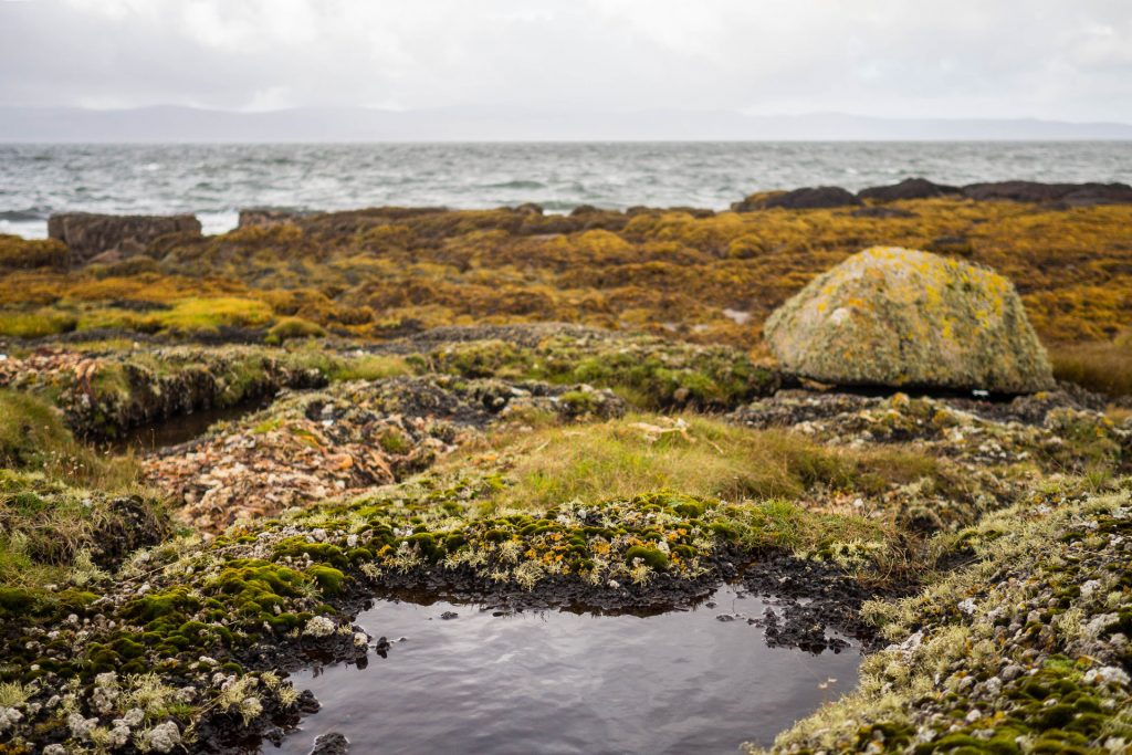 Vom Meer ins Moor – Isle of Arran