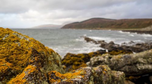 Vom Meer ins Moor – Isle of Arran