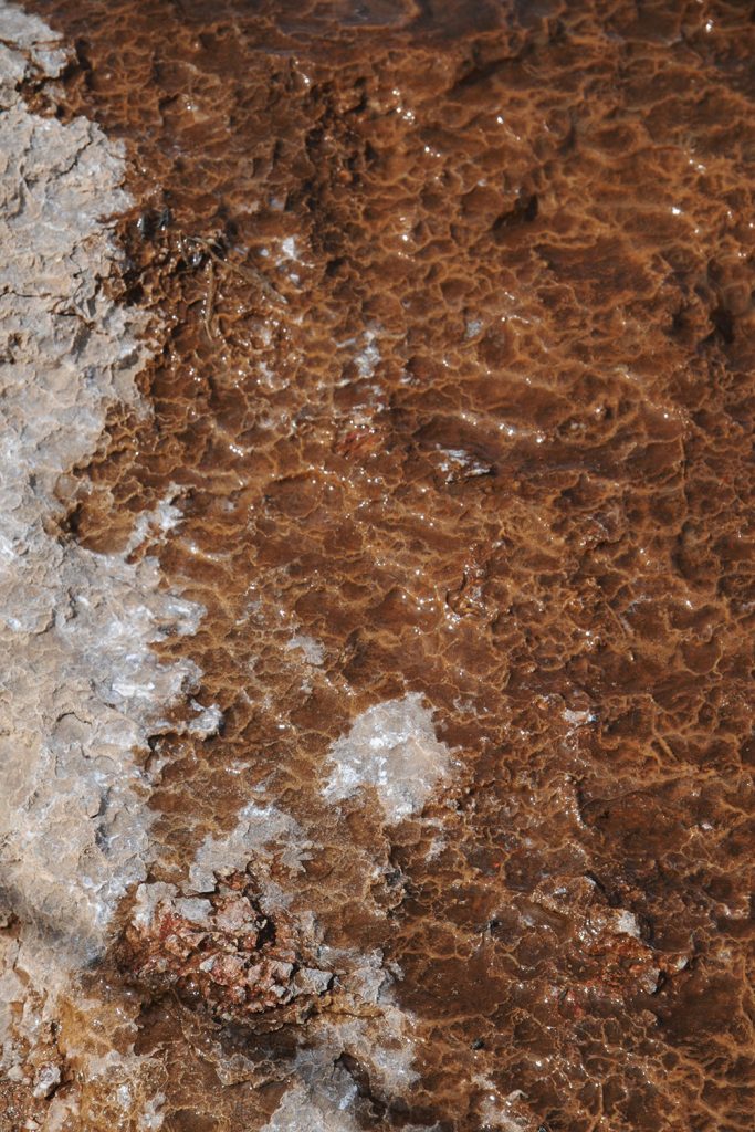 Irres Island – alles „huh“ oder was?