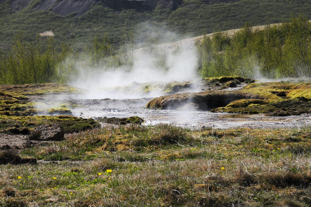 Irres Island – alles „huh“ oder was?