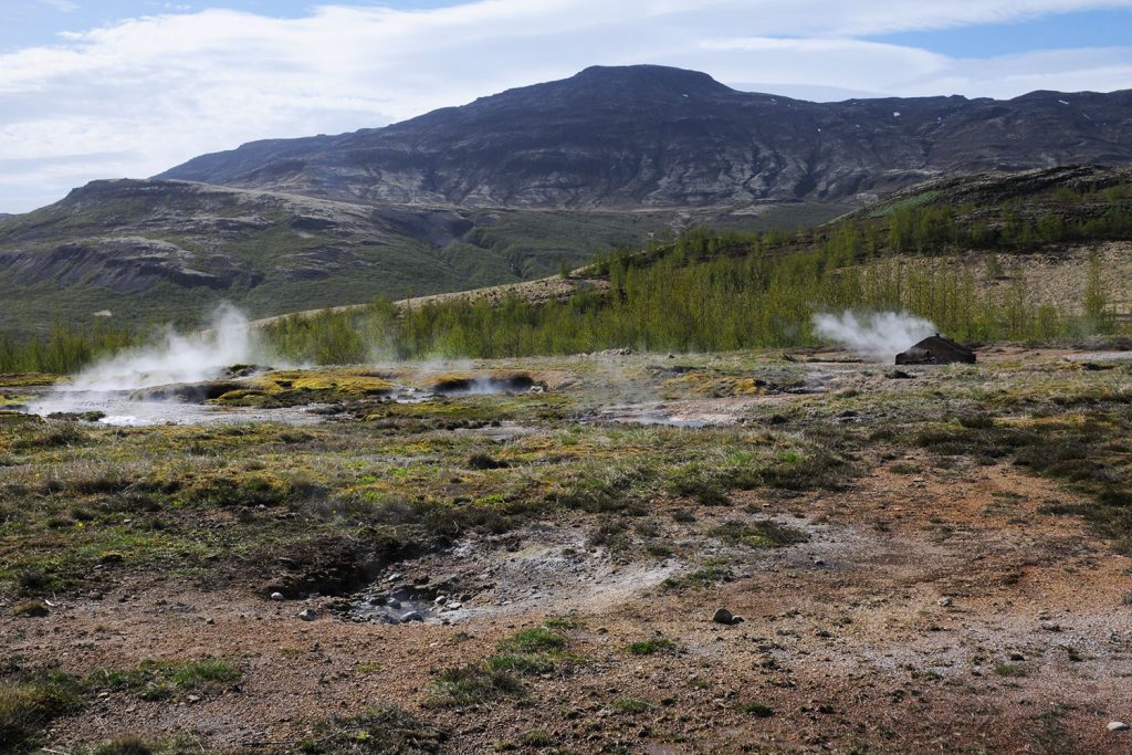 Irres Island – alles „huh“ oder was?