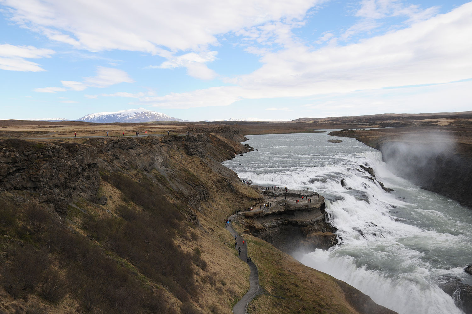 Irres Island – alles „huh“ oder was?