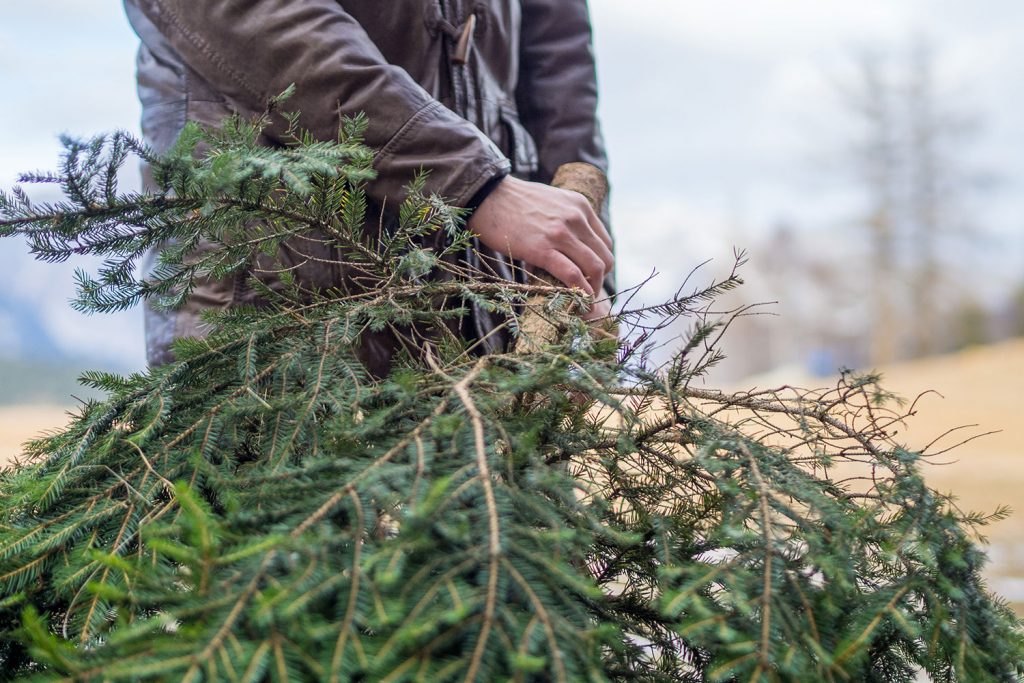 Gehen oder Bleiben – Reisetipps für die Feiertage