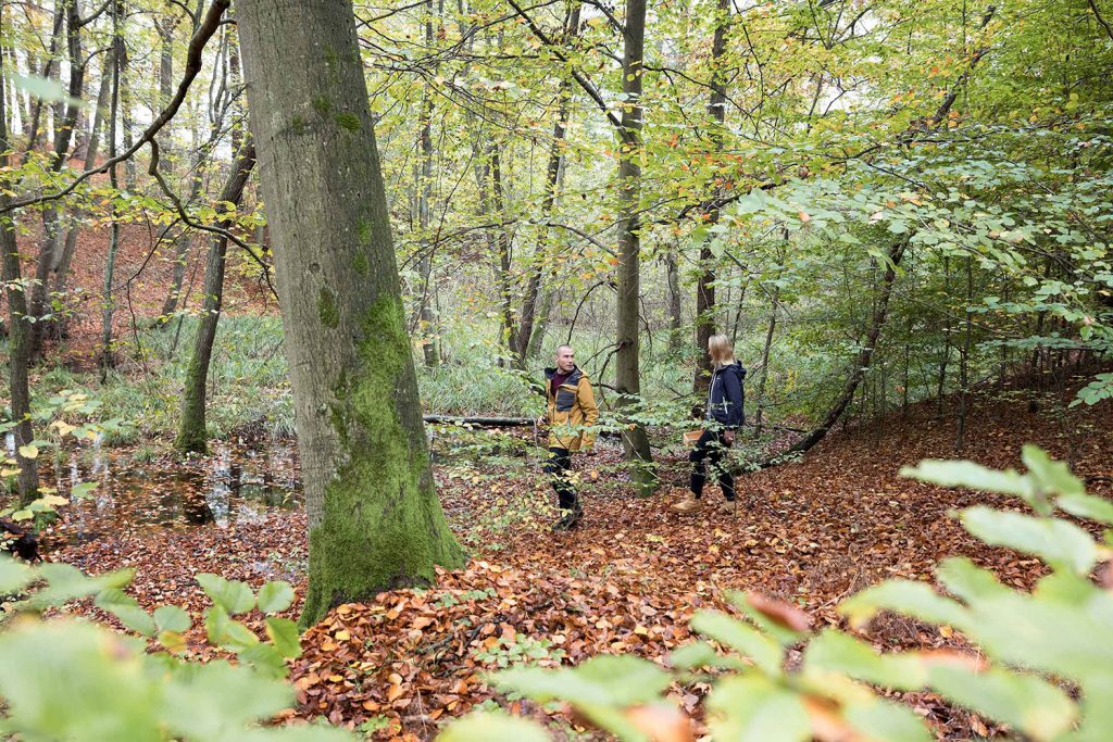 Roadtrip nach Feierabend – the Berlin Microadventure