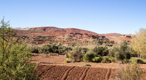 Einfach. Wunderbar. Marokkanisch.