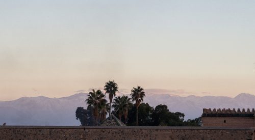 Nomaden im Herzen – Wiedersehen in Marrakesch