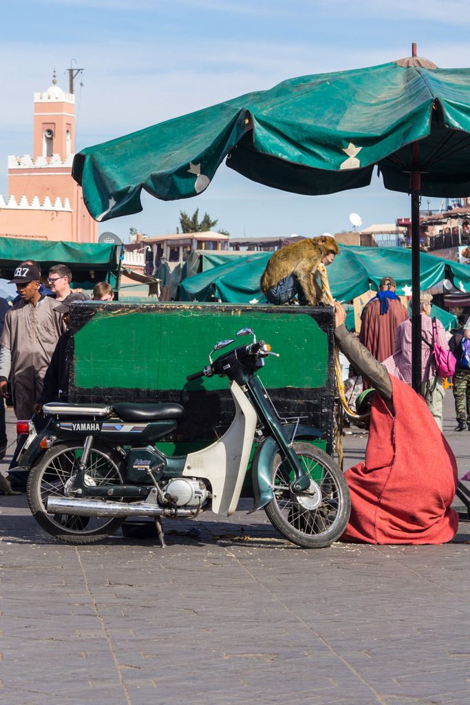 Nomaden im Herzen – Wiedersehen in Marrakesch