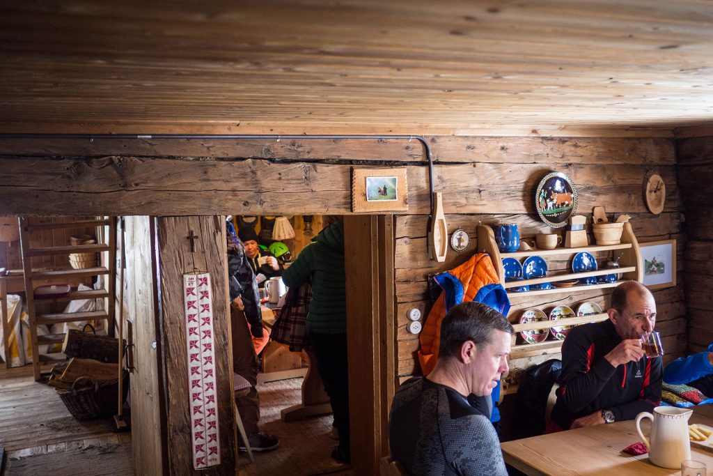 Von Schnee-Eulen und Winter-Lerchen