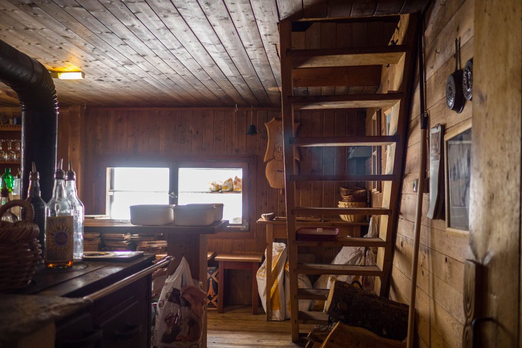 Von Schnee-Eulen und Winter-Lerchen