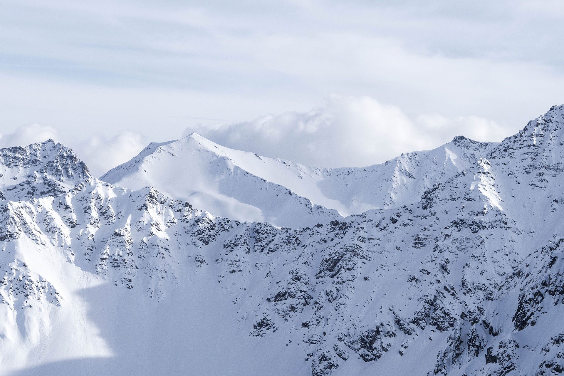 Von Schnee-Eulen und Winter-Lerchen