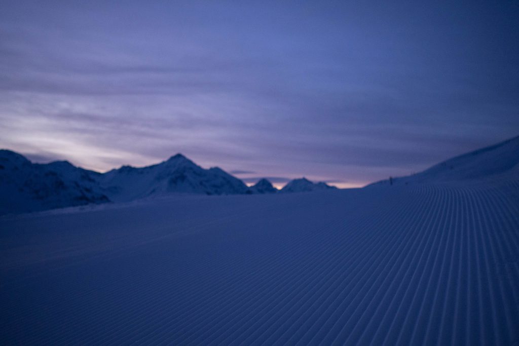 Von Schnee-Eulen und Winter-Lerchen