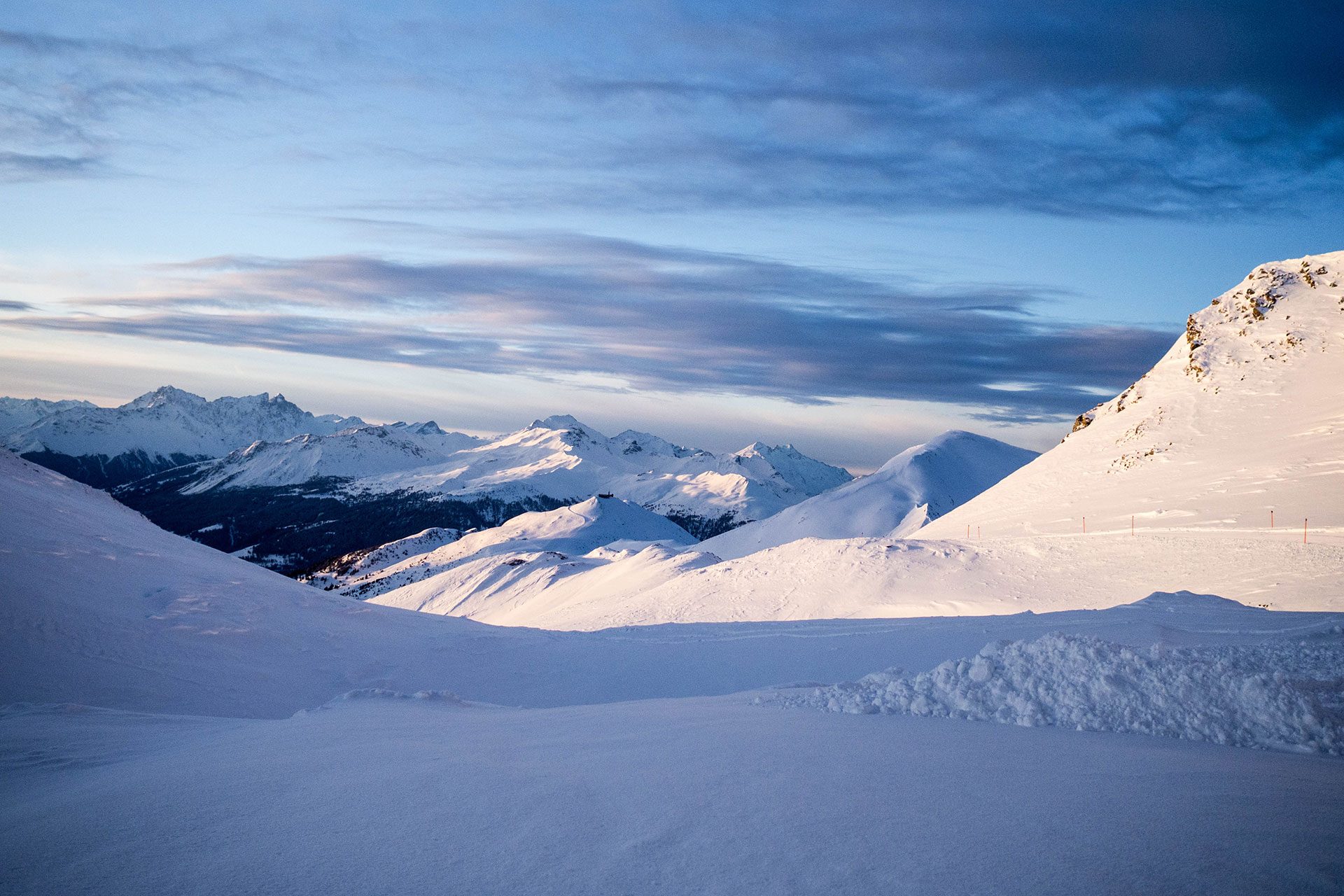 Von Schnee-Eulen und Winter-Lerchen