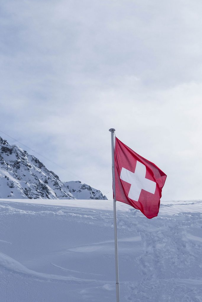 Von Schnee-Eulen und Winter-Lerchen