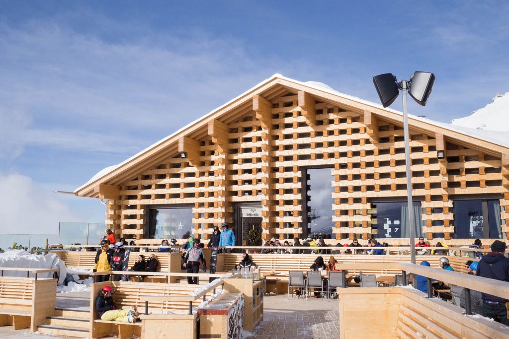 Von Schnee-Eulen und Winter-Lerchen