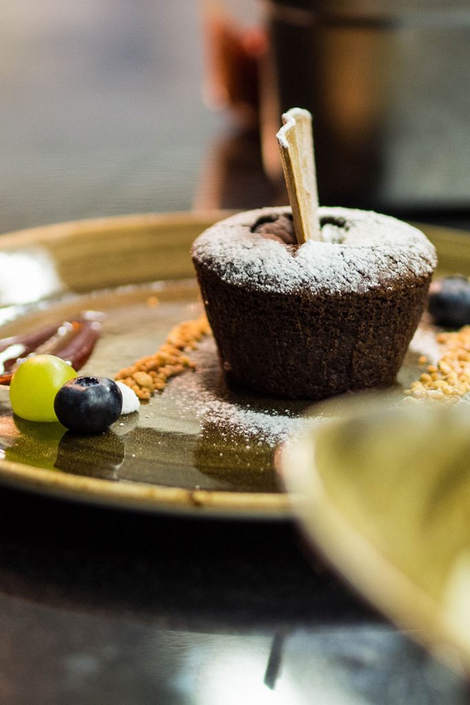 Von Schnee-Eulen und Winter-Lerchen