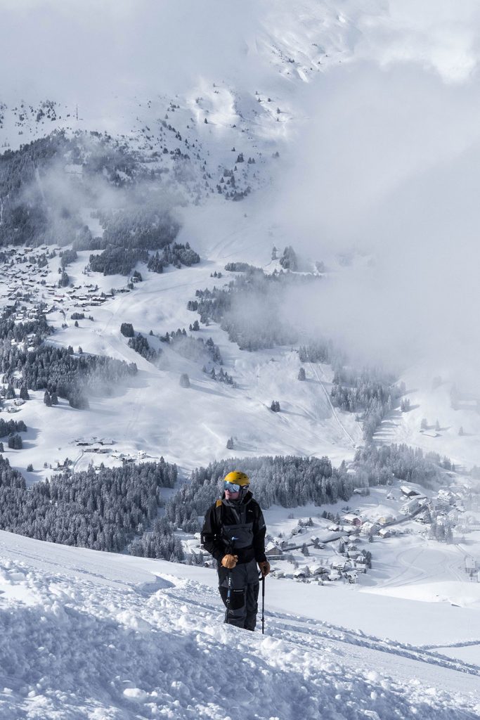 Von Schnee-Eulen und Winter-Lerchen