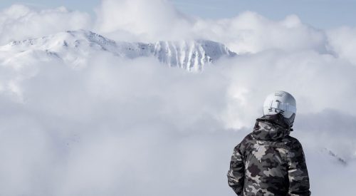 Von Schnee-Eulen und Winter-Lerchen