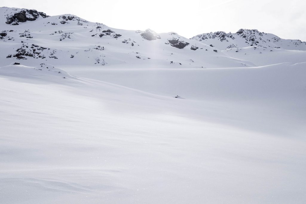 Von Schnee-Eulen und Winter-Lerchen