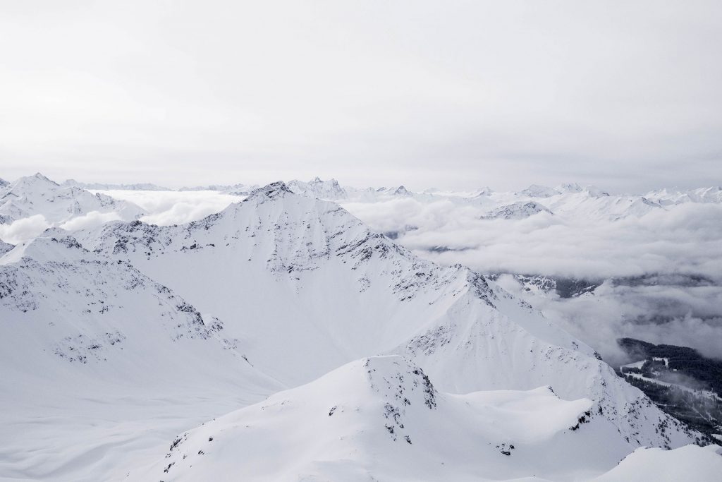 Von Schnee-Eulen und Winter-Lerchen