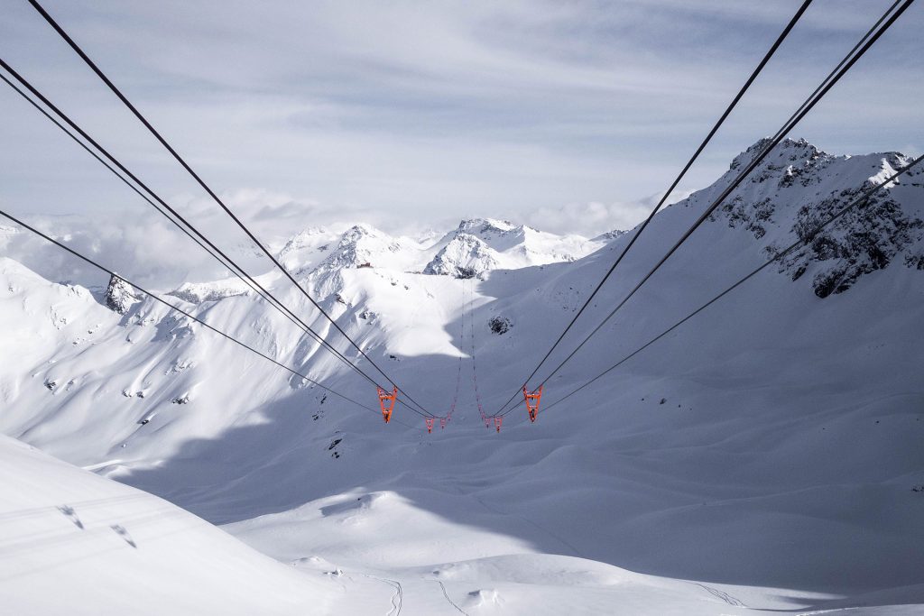 Von Schnee-Eulen und Winter-Lerchen