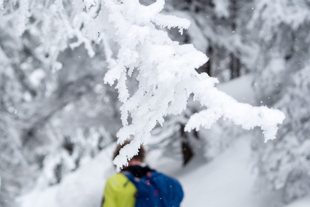 Tiroler Powderdays – Skitouring Kitzbüheler Alpen Vol. 1