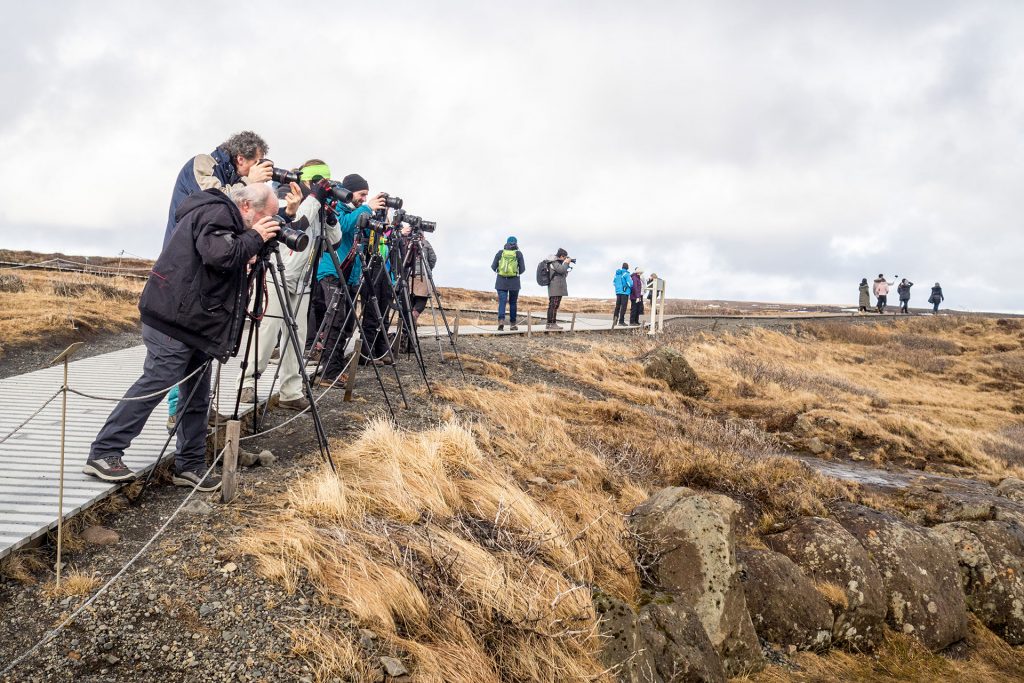 Island an einem Tag – 12h auf Snæfellsnes