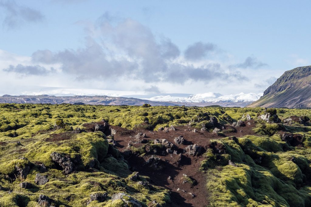 Eis, Eis, Baby – Roadtrip durch Island (Teil 2)