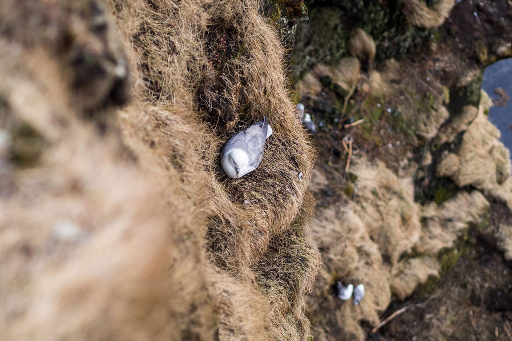 Eis, Eis, Baby – Roadtrip durch Island (Teil 2)