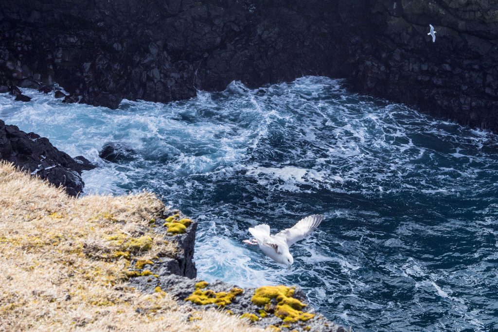 Island an einem Tag – 12h auf Snæfellsnes