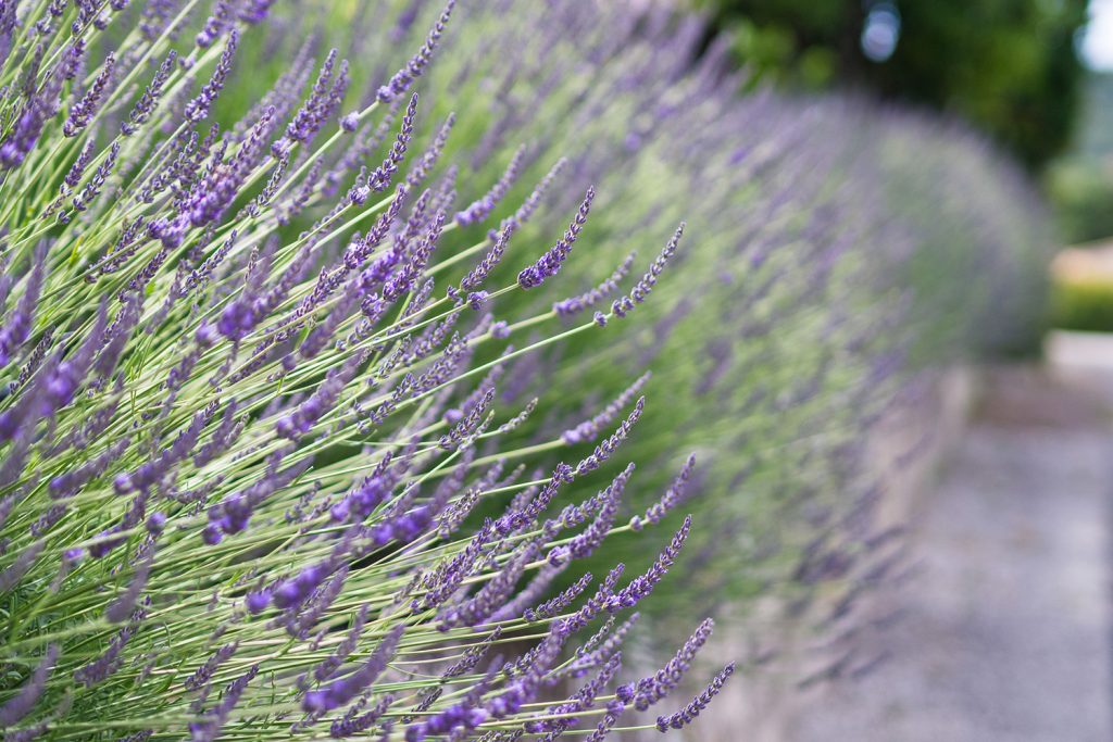 Wohin reisen… im Frühling?