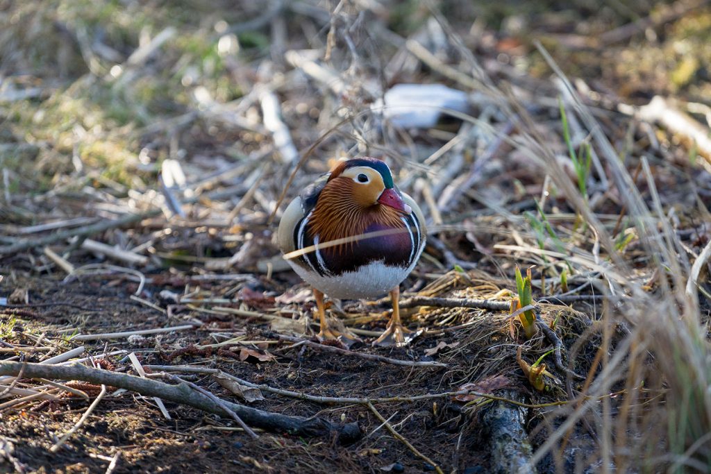 Mit dem Floß durch die Nacht – ein Microadventure