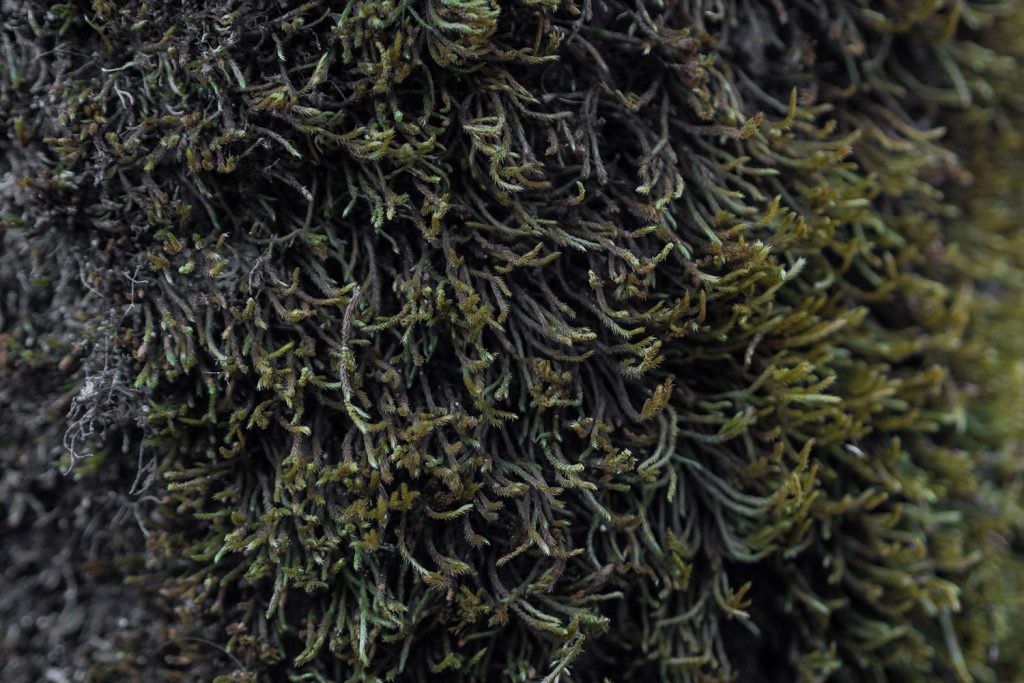 Sonnenbrand unter der Woche!