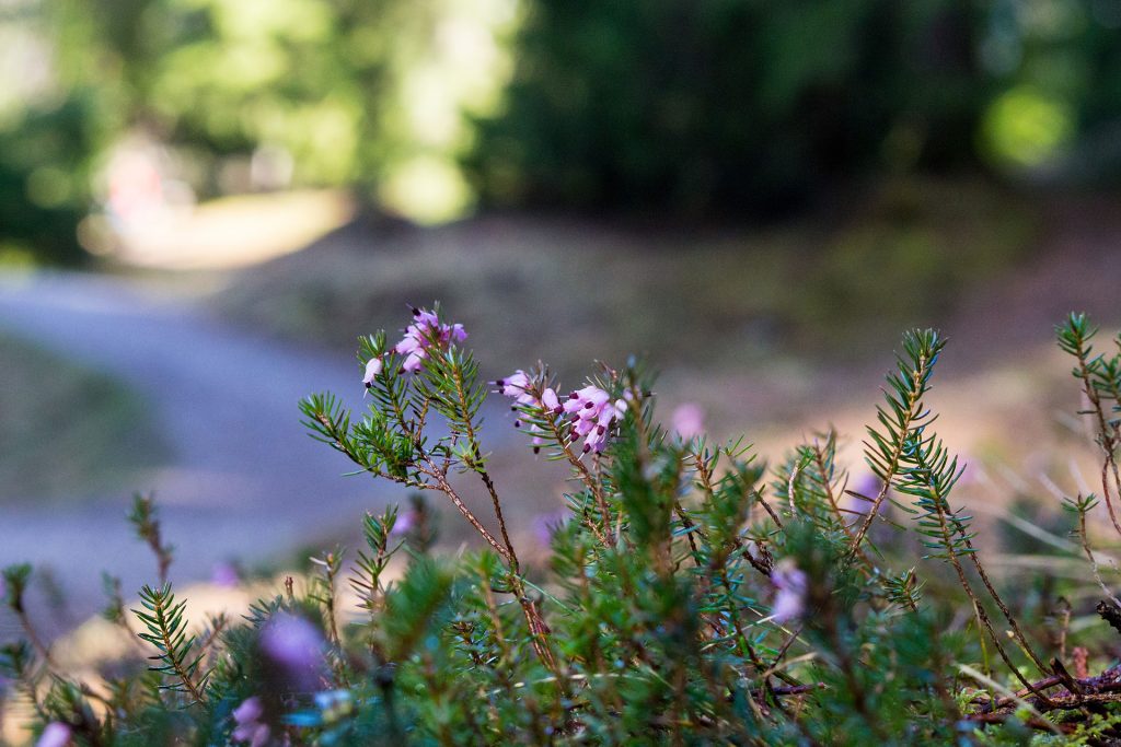 Sonnenbrand unter der Woche!