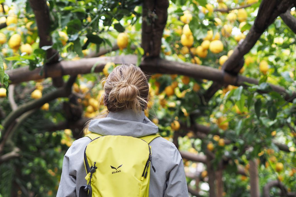 Wohin reisen… im Frühling?