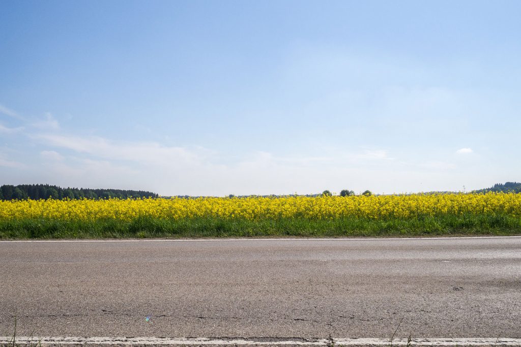 Microadventure mit Gleichgesinnten