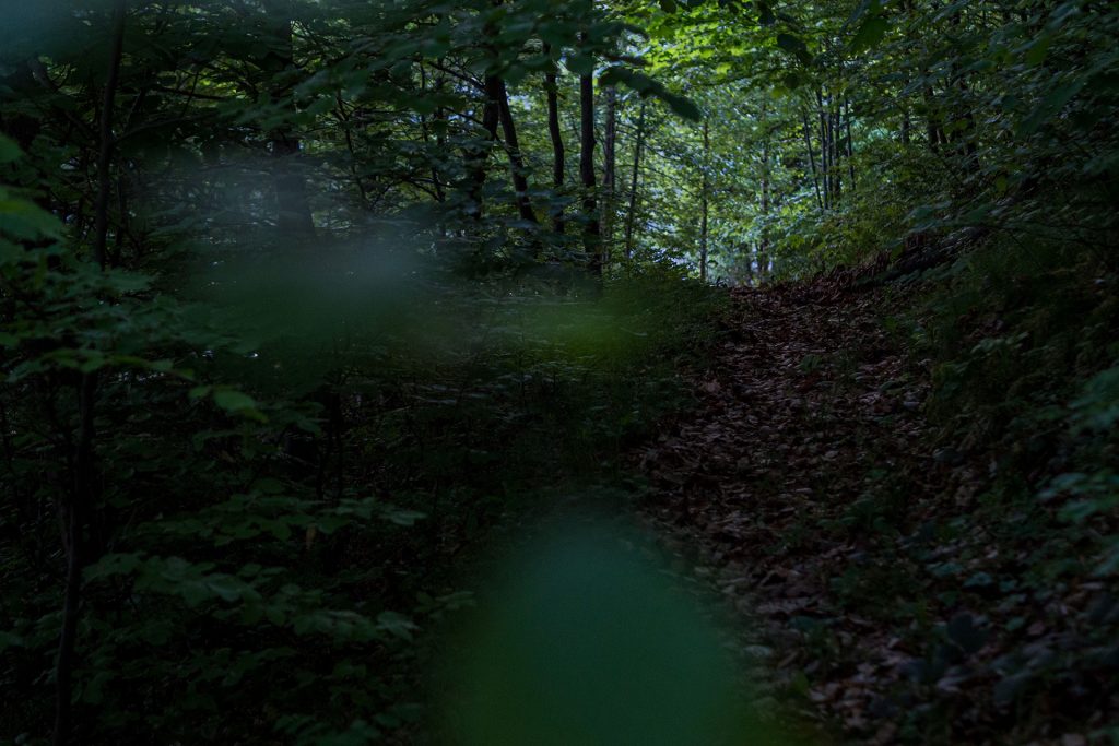 Microadventure mit Gleichgesinnten