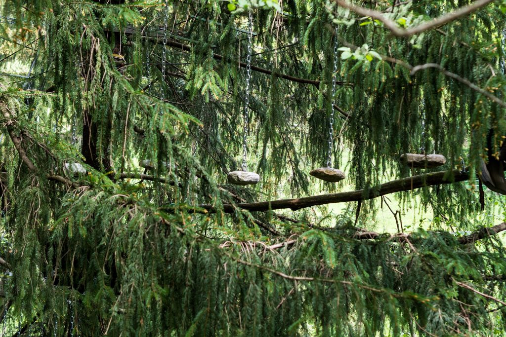 Genusswandern mit Ruhepuls