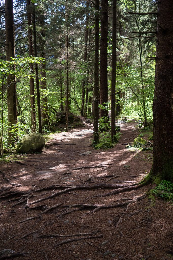 Genusswandern mit Ruhepuls