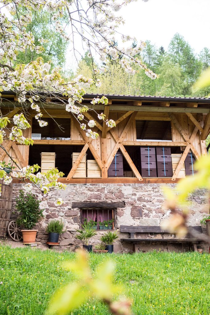 Zweite Heimat Südtirol – zu Gast bei Freunden