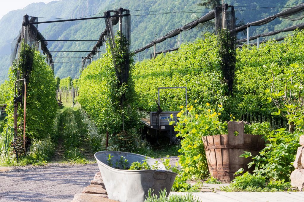 Zweite Heimat Südtirol – zu Gast bei Freunden