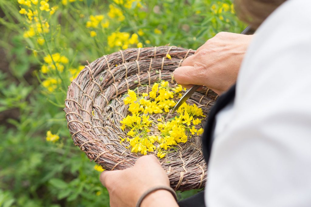 Zweite Heimat Südtirol – zu Gast bei Freunden