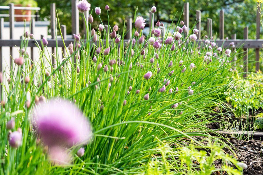 Zweite Heimat Südtirol – zu Gast bei Freunden