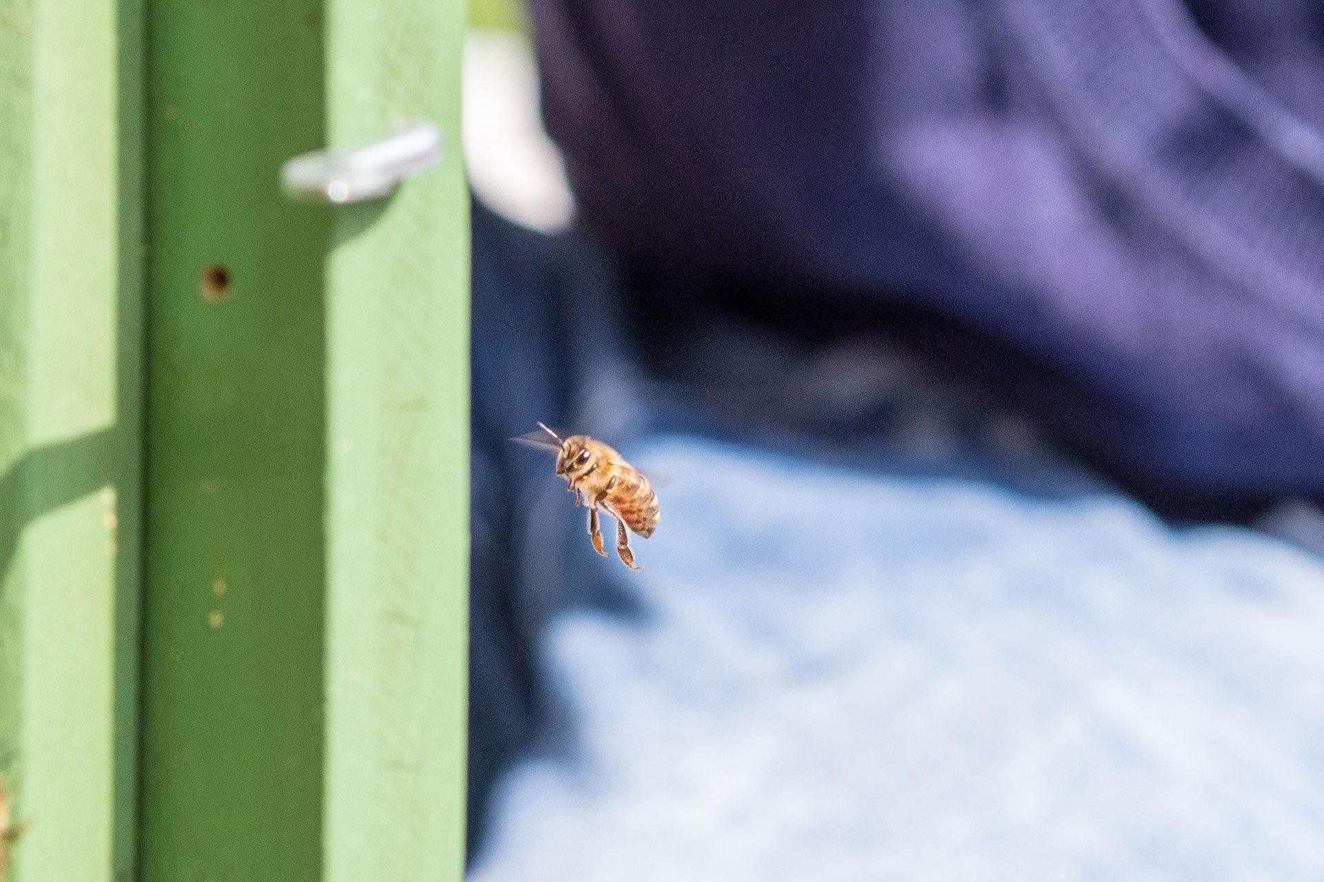 Zweite Heimat Südtirol – zu Gast bei Freunden