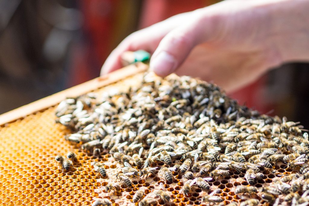 Zweite Heimat Südtirol – zu Gast bei Freunden