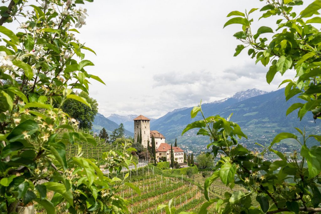 Genusswandern mit Ruhepuls