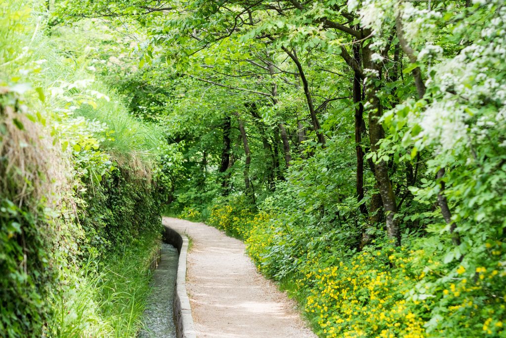 Genusswandern mit Ruhepuls