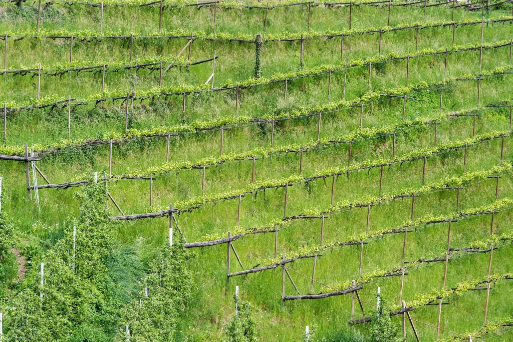 Genusswandern mit Ruhepuls